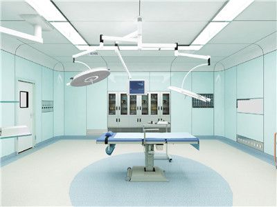 漢陰縣婦幼保健院住院樓手術(shù)室、產(chǎn)房?jī)艋b飾及設(shè)備采購(gòu)項(xiàng)目
